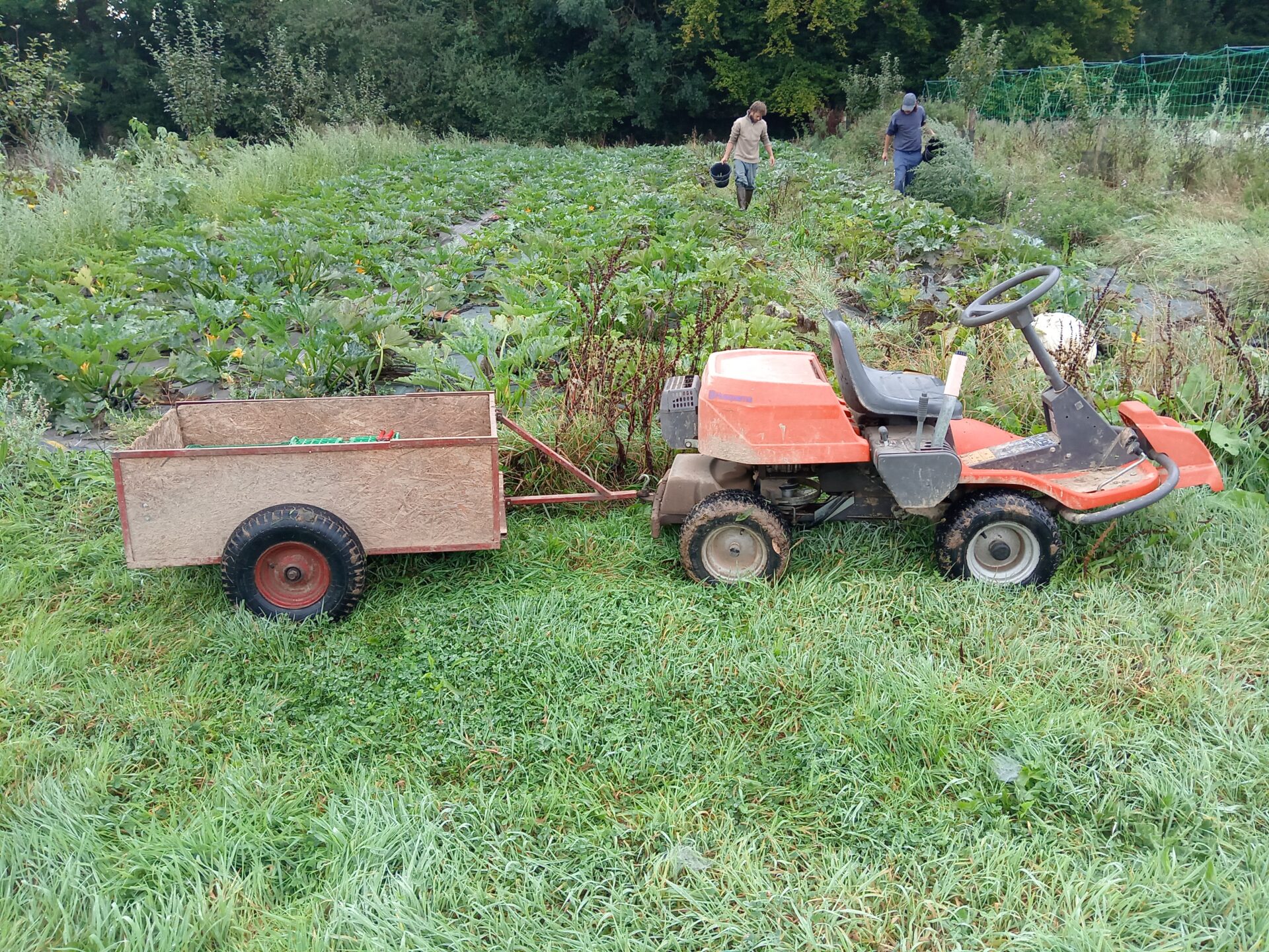 tracteur-tondeuse et remorque pour les récoltes de légumes